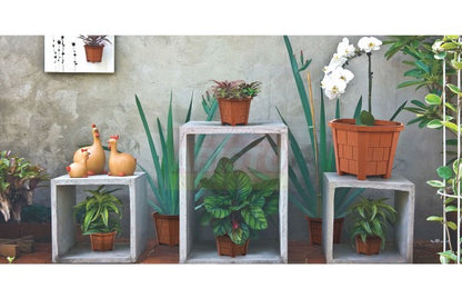 HEXA PLANTER 2